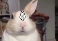 Bin语从句已学会G2官博发文：春节悄悄竞赛卷死你们